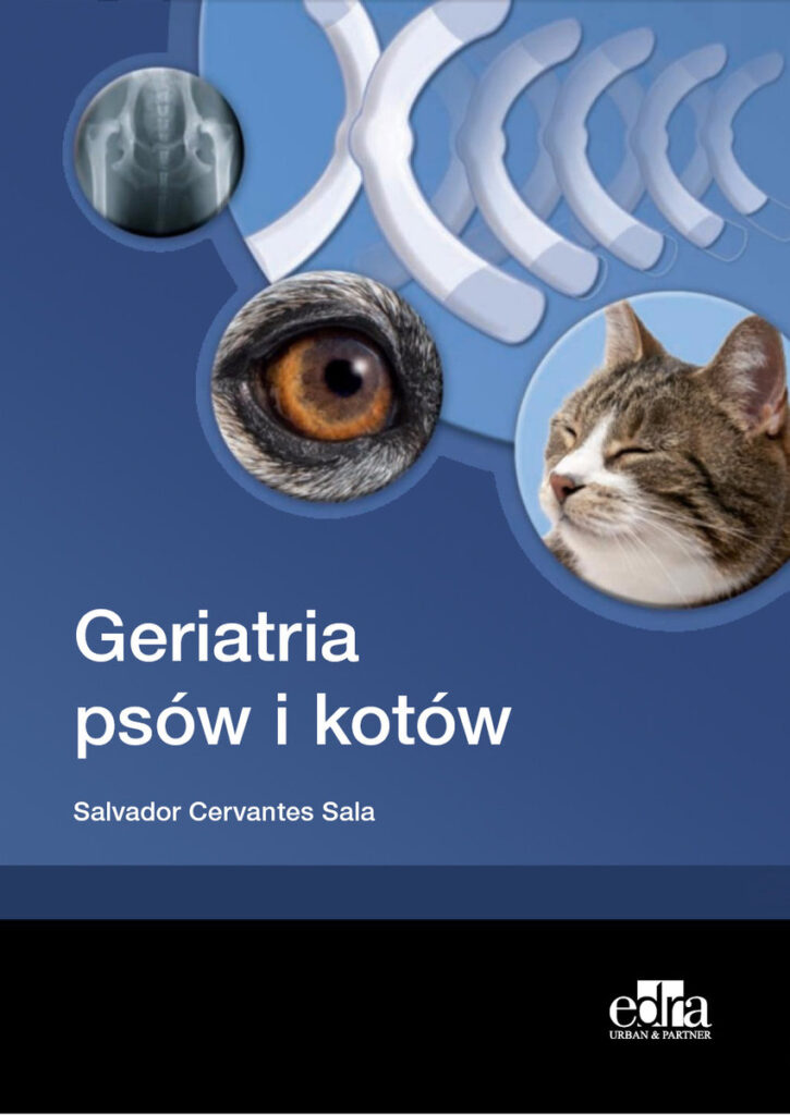 geriatria-psow-i-kotow-b-iext52189751-725x1024 Psi Senior bez tajemnic